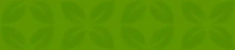 Costa Rica Centro de Convenciones | Oneiro Festival 2025