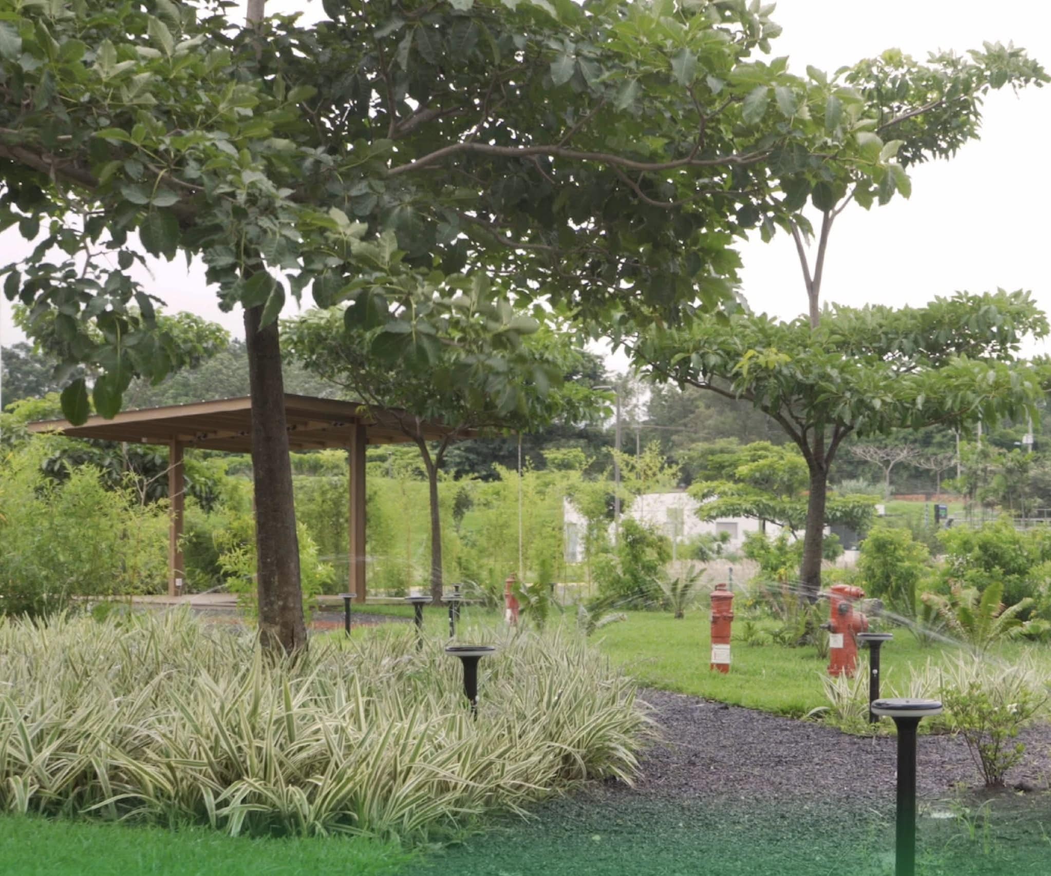 Costa Rica Centro de Convenciones|Sostenibilidad